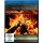 Das große HD Kaminfeuer [Blu-ray] [Special Edition] gebraucht